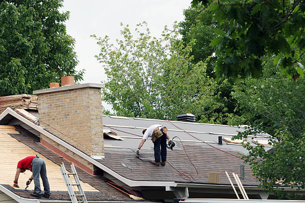 Best Roof Moss and Algae Removal  in Fairbury, IL